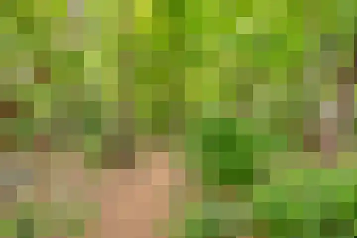 Lombokweg 7 Eerbeek thumbnail 47