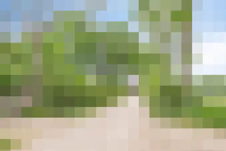 Lombokweg 7 Eerbeek thumbnail 48