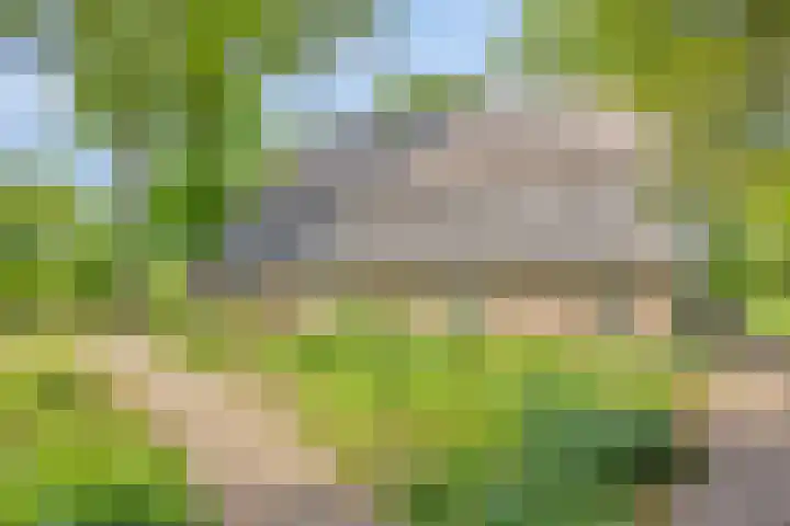 Lombokweg 7 Eerbeek thumbnail 49