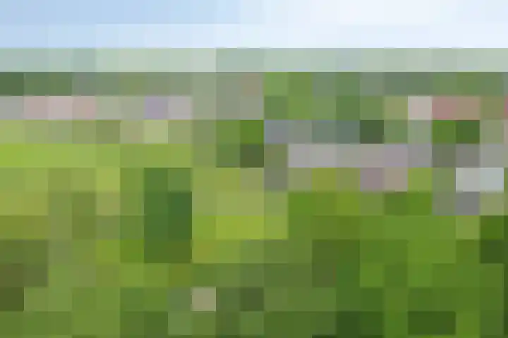 Lombokweg 7 Eerbeek thumbnail 50