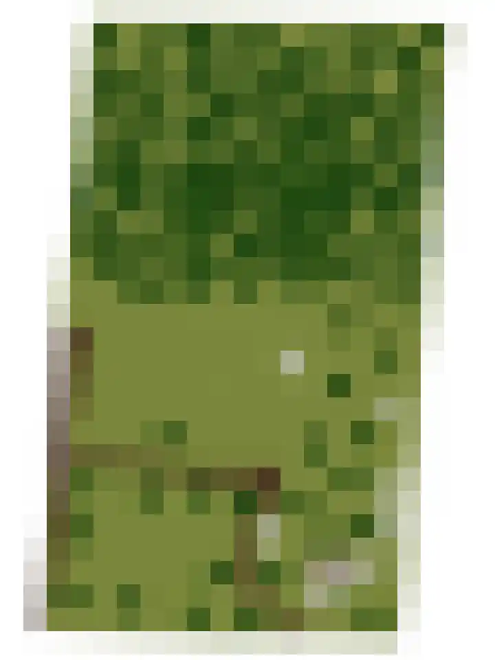 Lombokweg 7 Eerbeek thumbnail 58