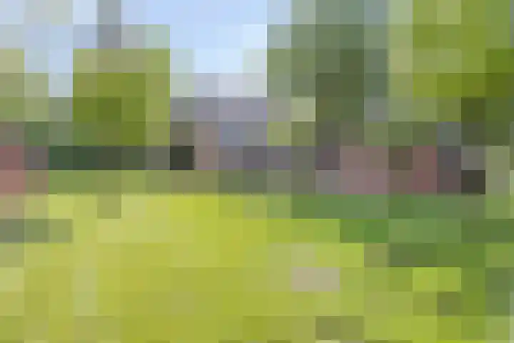 Lombokweg 7 Eerbeek thumbnail 59