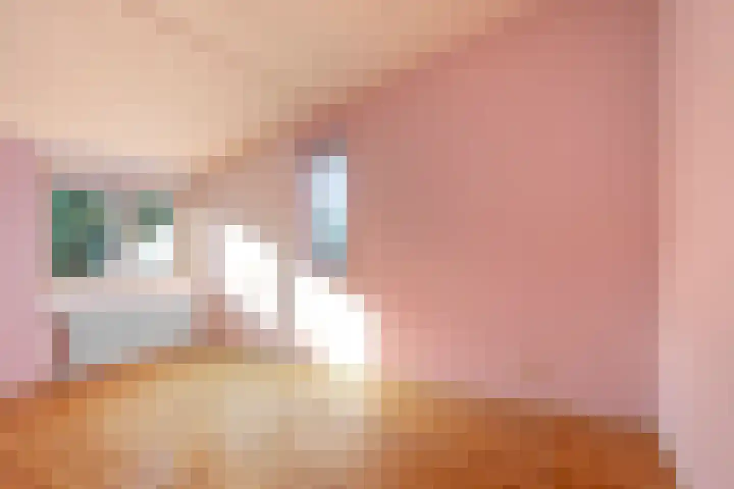 Lomeijerplein 10 Zutphen thumbnail 18