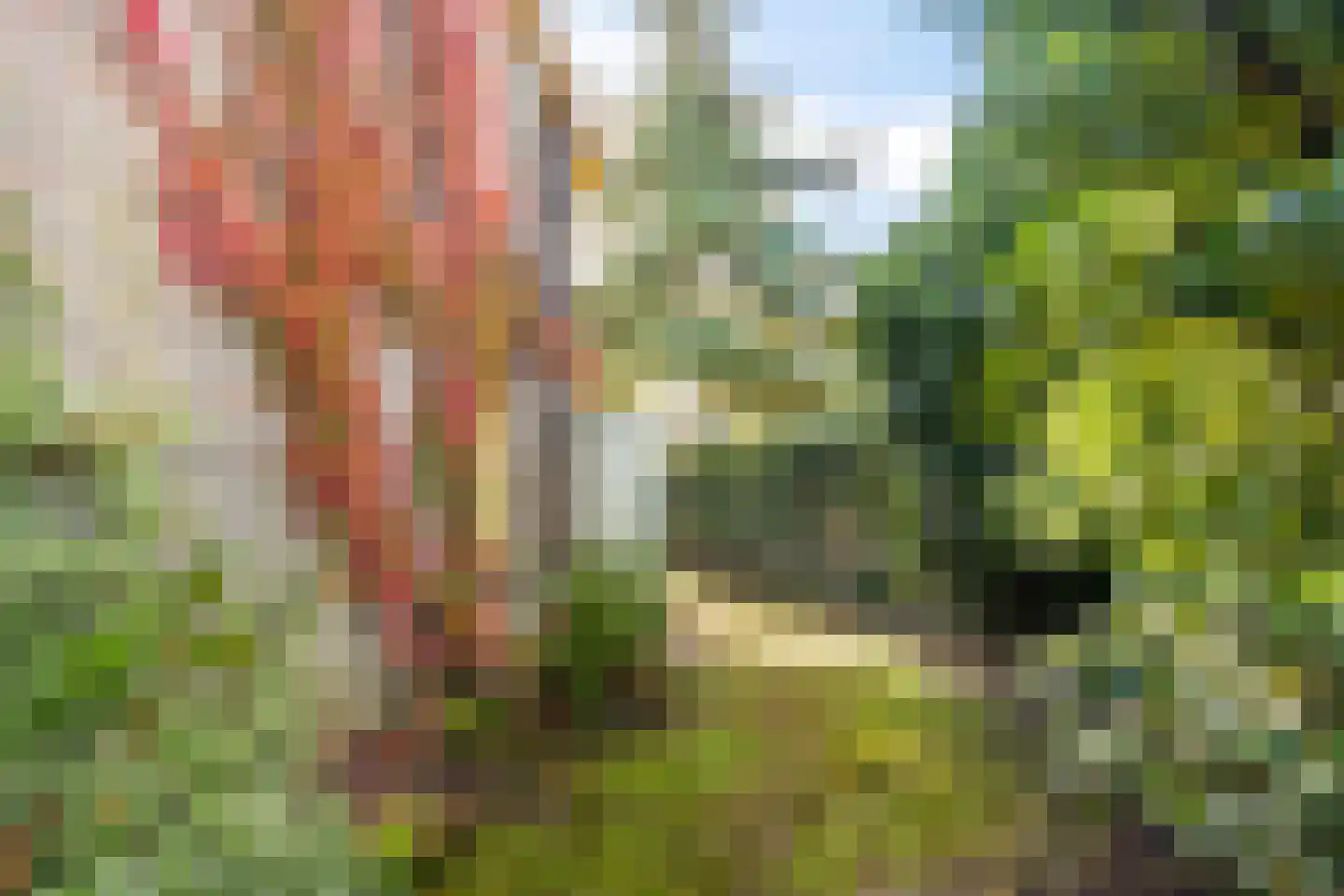 Lomeijerplein 10 Zutphen thumbnail 35