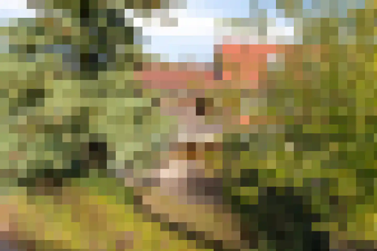 Lomeijerplein 10 Zutphen thumbnail 4
