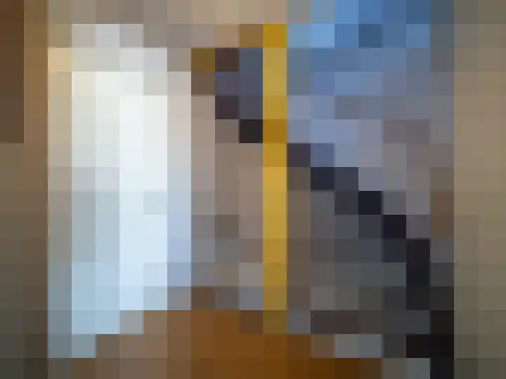 Lomeijerplein 4 Zutphen thumbnail 12