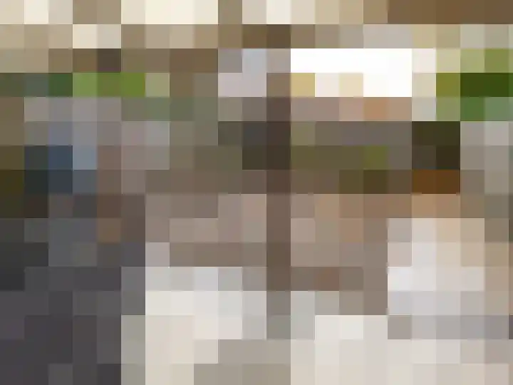 Lomeijerplein 4 Zutphen thumbnail 20