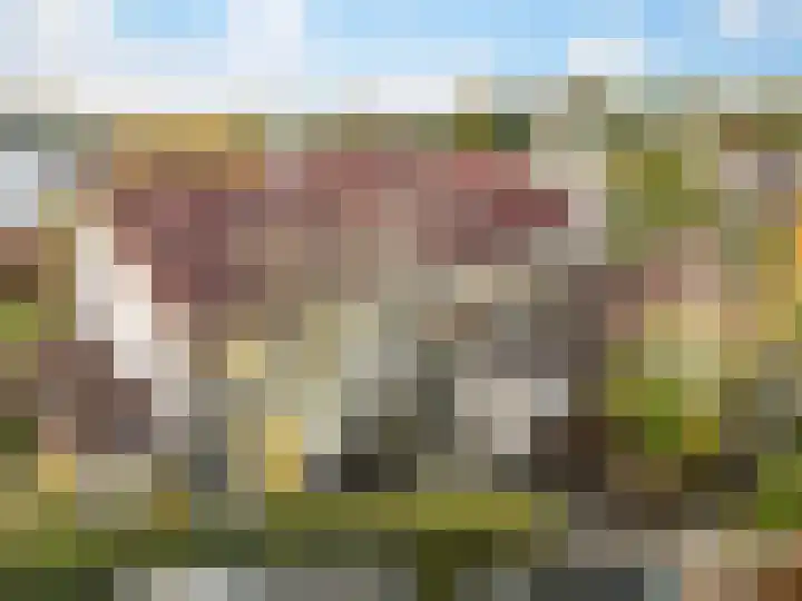 Lomeijerplein 4 Zutphen thumbnail 26