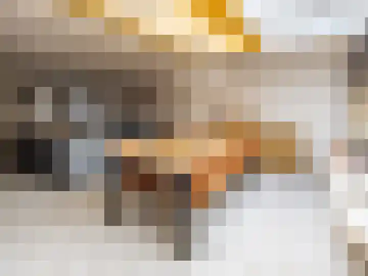 Lomeijerplein 4 Zutphen thumbnail 6