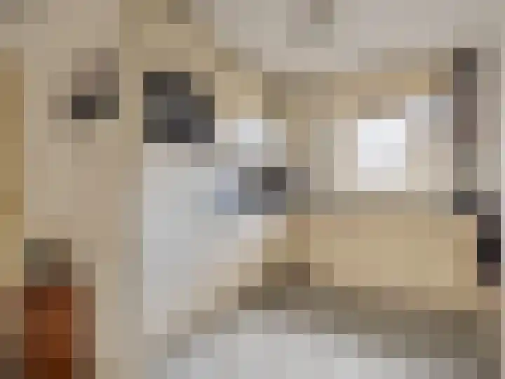 Lomeijerplein 4 Zutphen thumbnail 8
