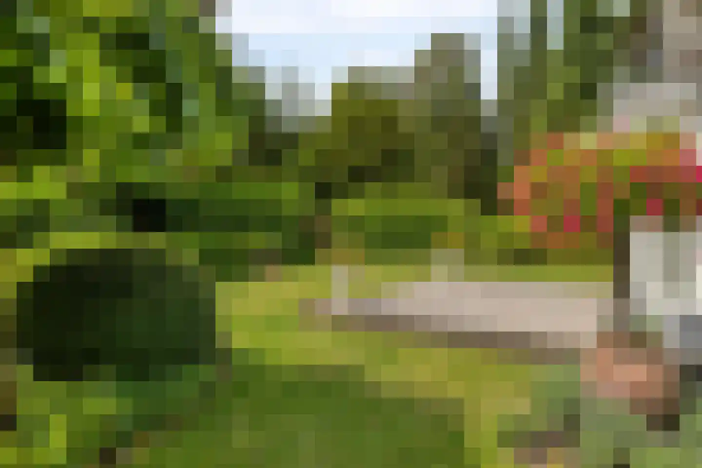 Lommelsedijk 12 Luyksgestel thumbnail 23