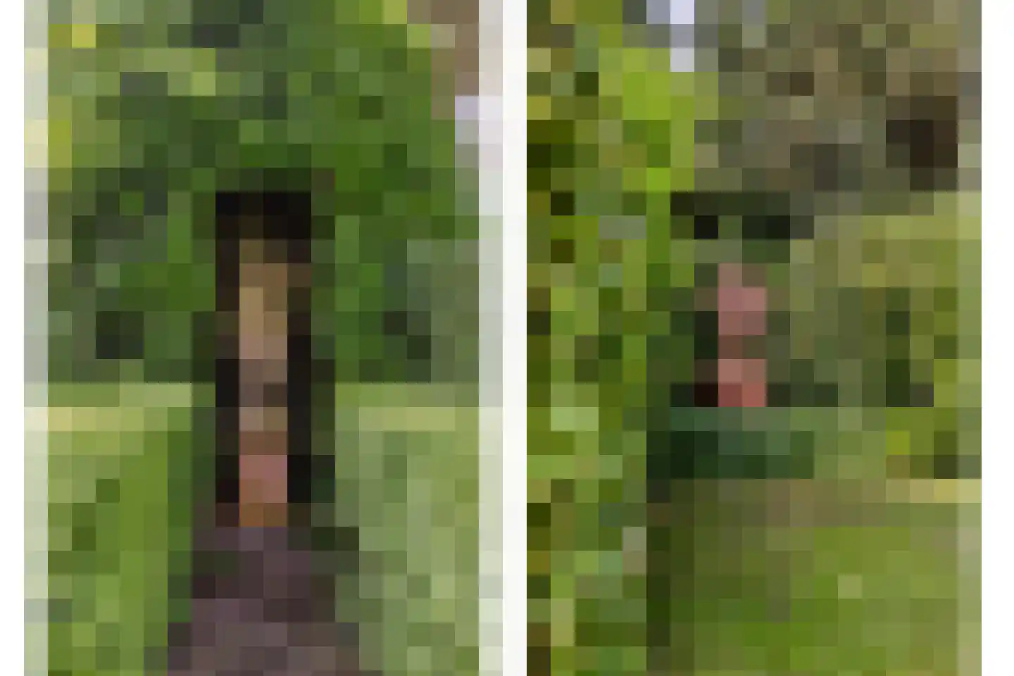 Lommelsedijk 12 Luyksgestel thumbnail 24