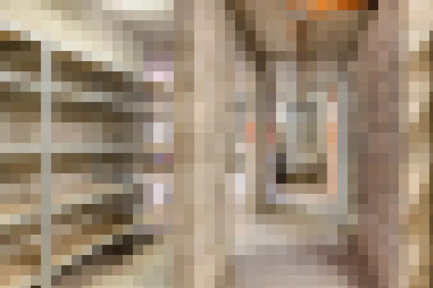 Lommelsedijk 2 Luyksgestel thumbnail 21