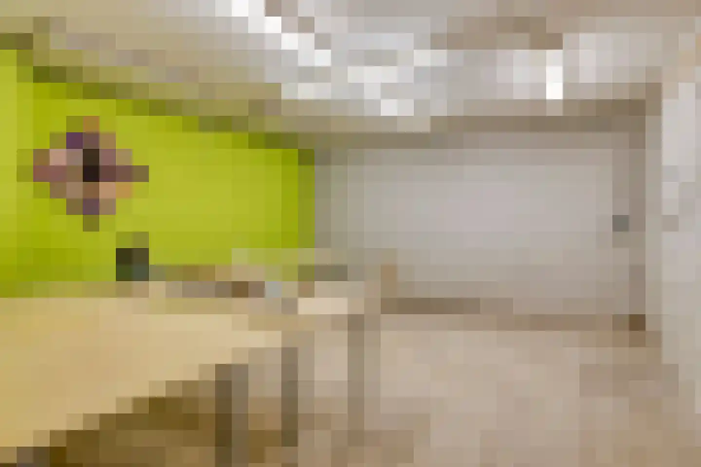 Lommelsedijk 2 Luyksgestel thumbnail 22