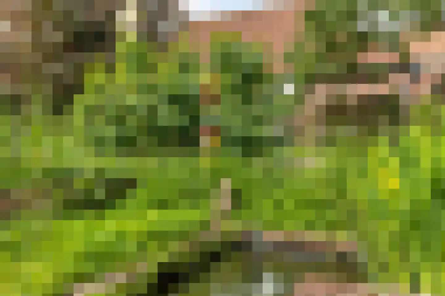 Lommelsedijk 2 Luyksgestel thumbnail 25