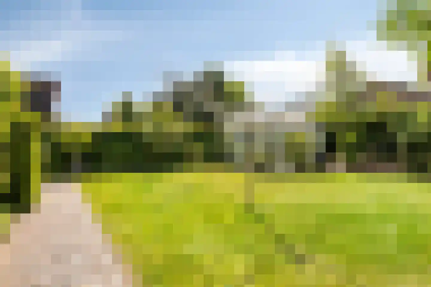 Lommelsedijk 2 Luyksgestel thumbnail 26