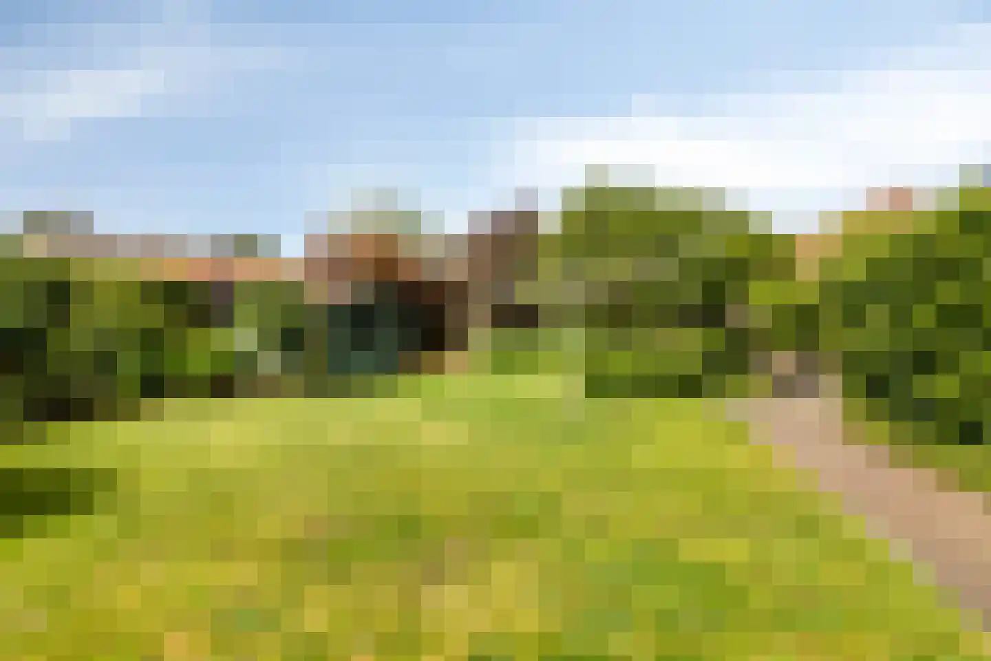 Lommelsedijk 2 Luyksgestel thumbnail 27