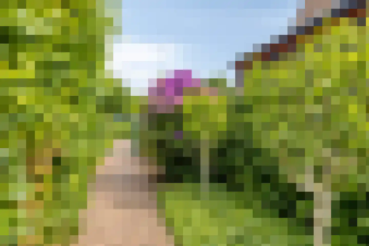 Lommelsedijk 2 Luyksgestel thumbnail 28
