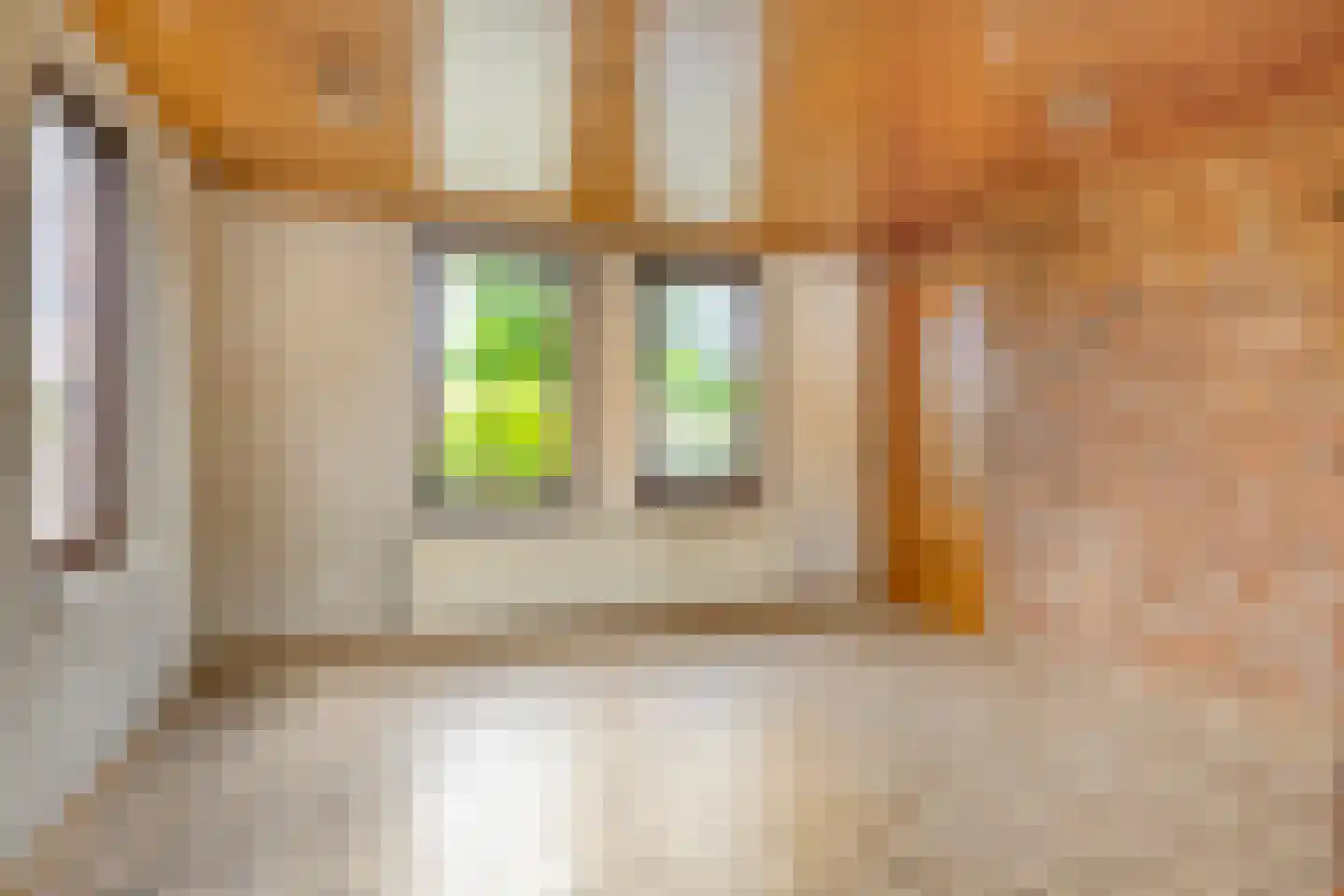Lommelsedijk 2 Luyksgestel thumbnail 7