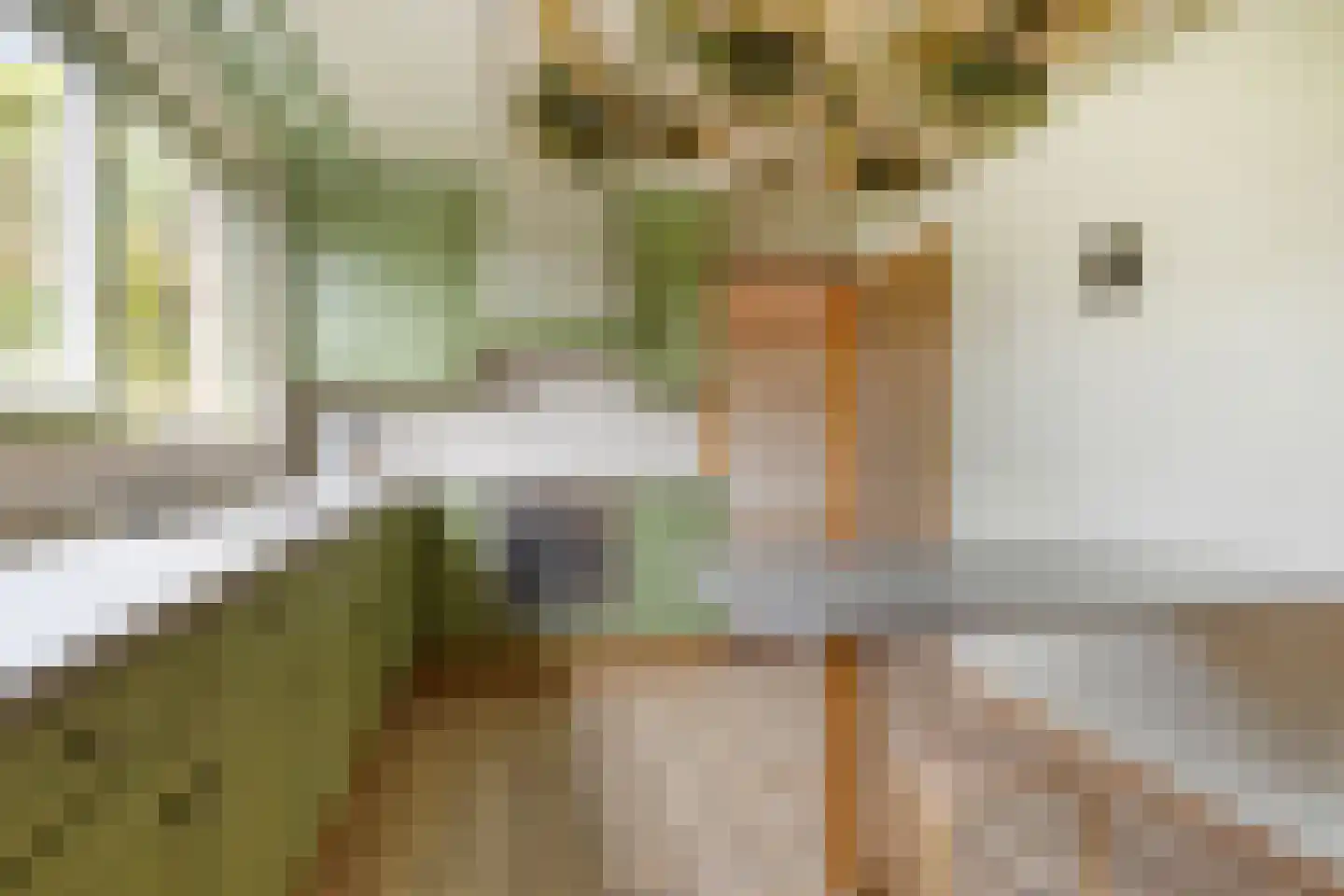 Lommelsedijk 2 Luyksgestel thumbnail 8