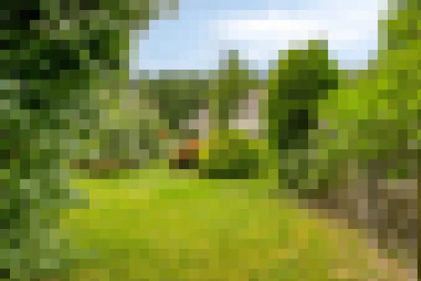 Lommelsedijk 24 Luyksgestel thumbnail 25