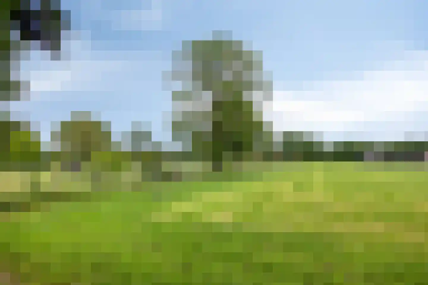 Lommelsedijk 24 Luyksgestel thumbnail 26