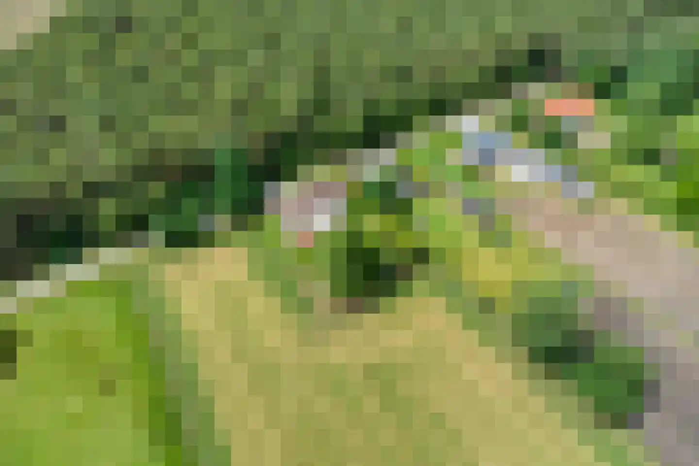 Lommelsedijk 24 Luyksgestel thumbnail 27