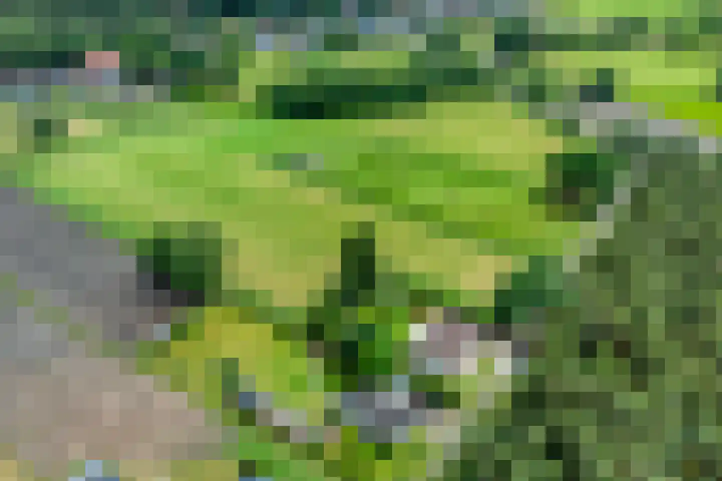 Lommelsedijk 24 Luyksgestel foto 3