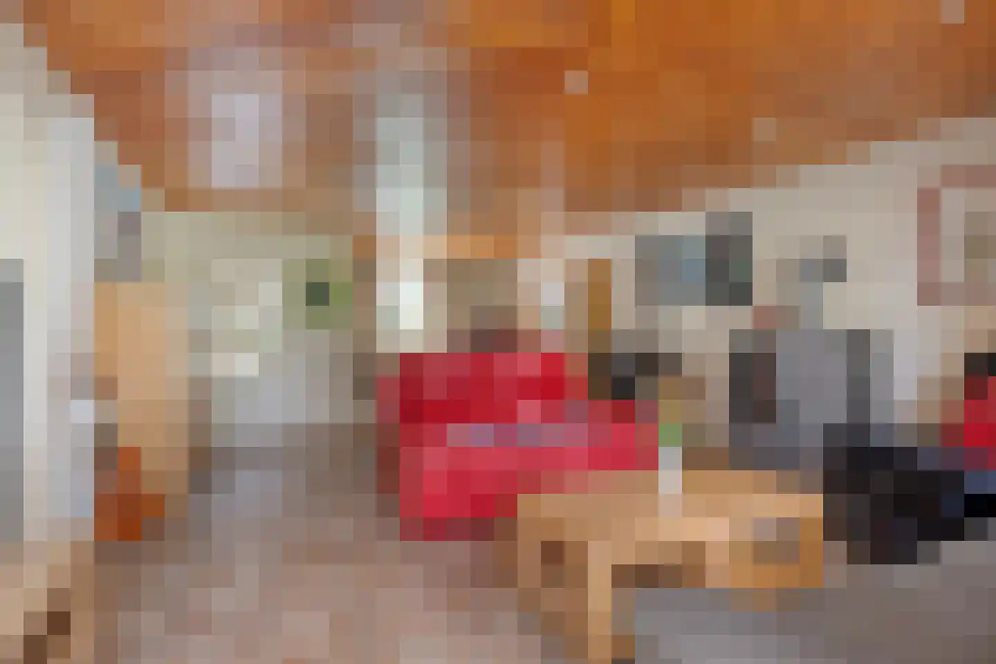 Lommelsedijk 24 Luyksgestel thumbnail 6