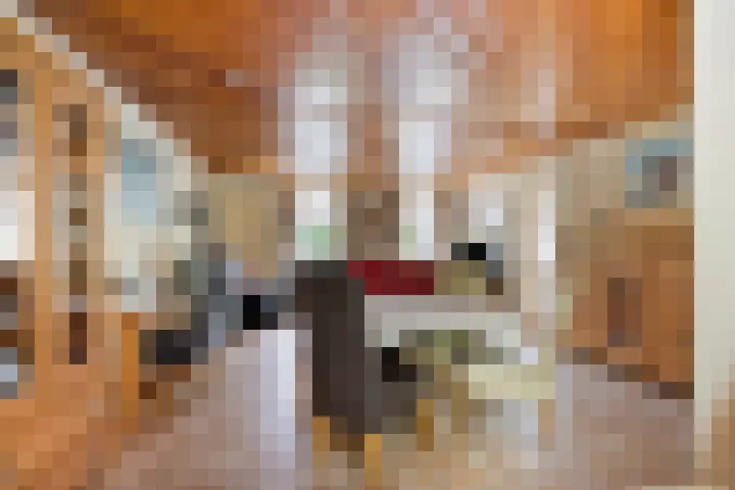 Lommelsedijk 24 Luyksgestel thumbnail 7