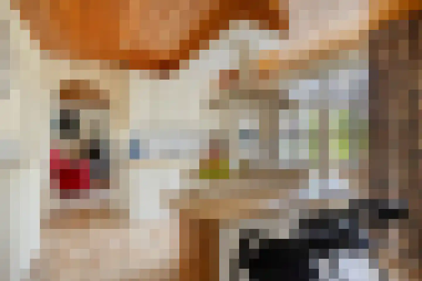 Lommelsedijk 24 Luyksgestel thumbnail 8
