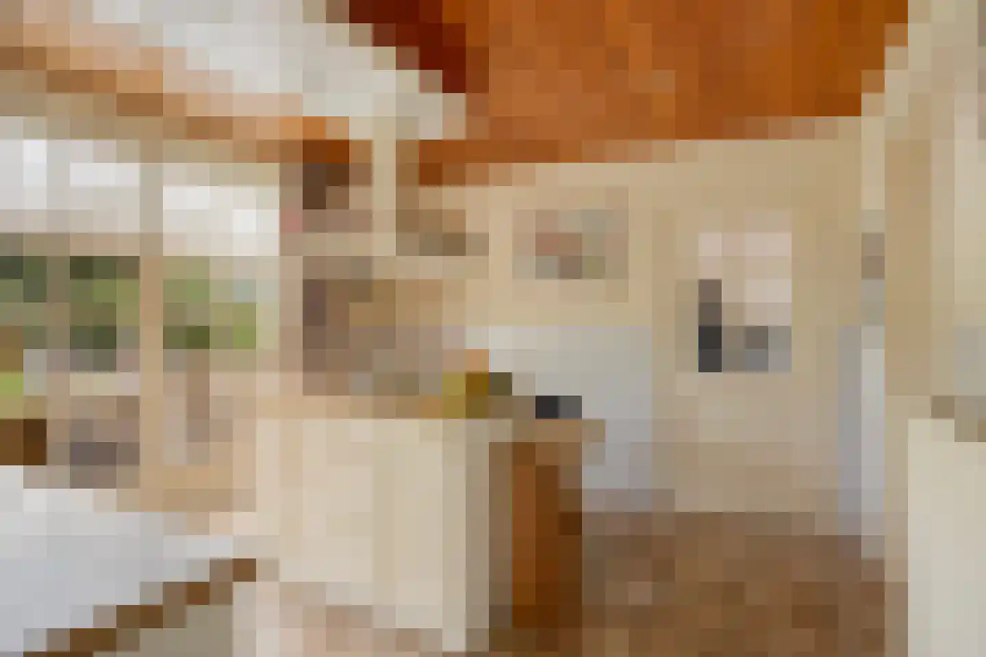 Lommelsedijk 24 Luyksgestel thumbnail 9