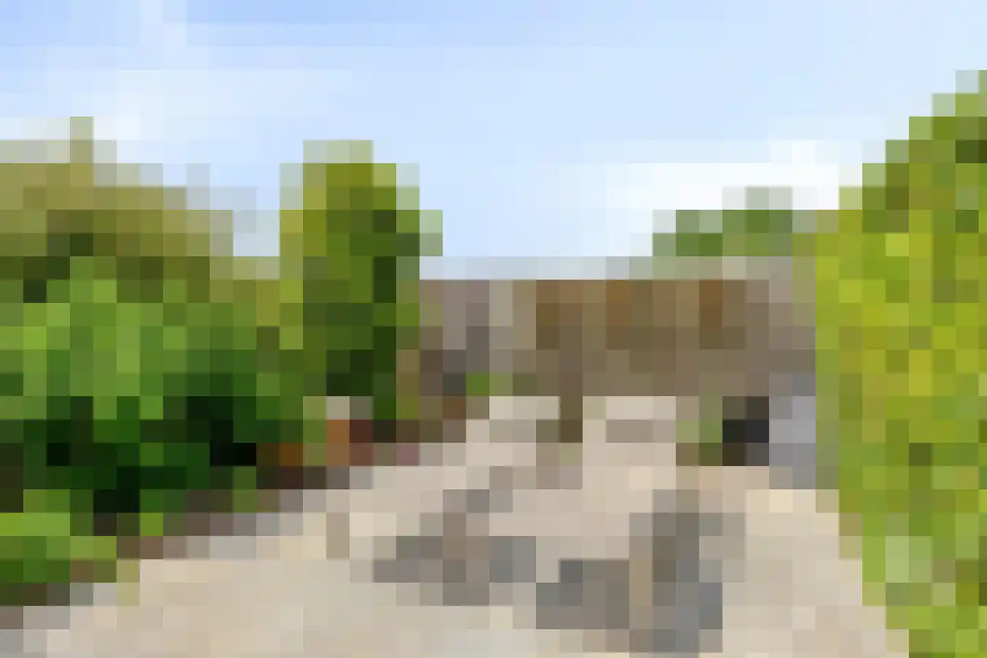 Lommelsedijk 25 Luyksgestel thumbnail 16