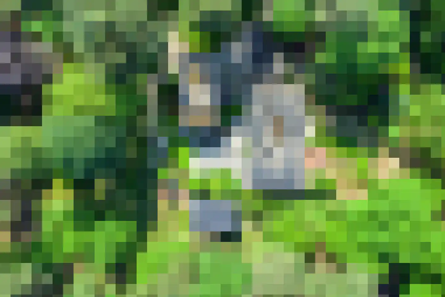 Lommelsedijk 34 Luyksgestel thumbnail 23