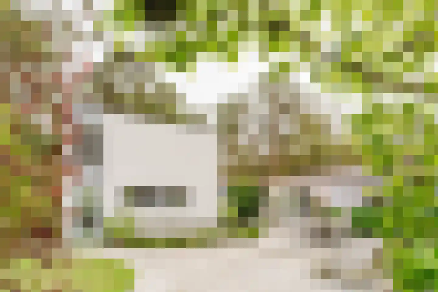 Lommelsedijk 34 Luyksgestel thumbnail 28