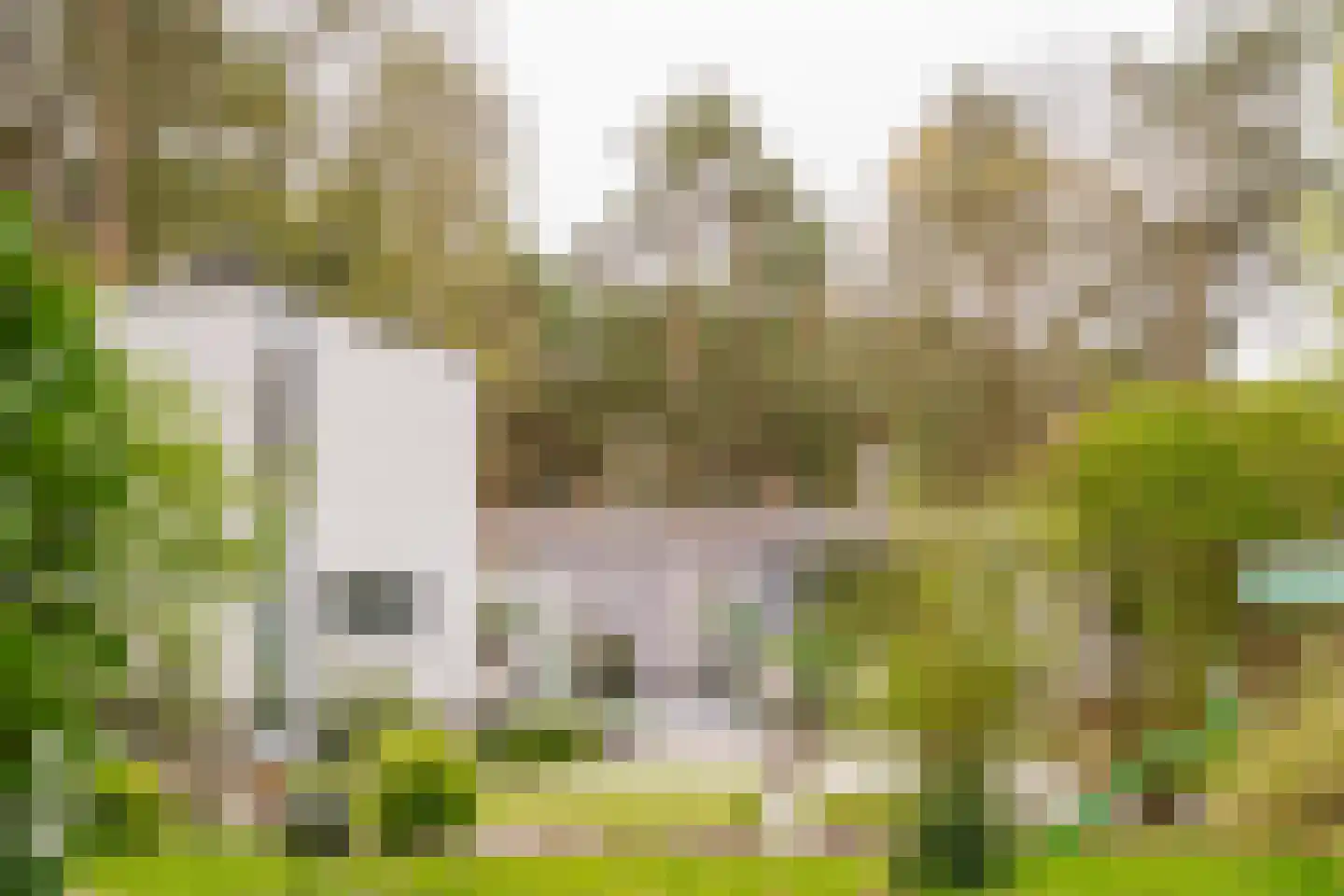 Lommelsedijk 34 Luyksgestel thumbnail 29