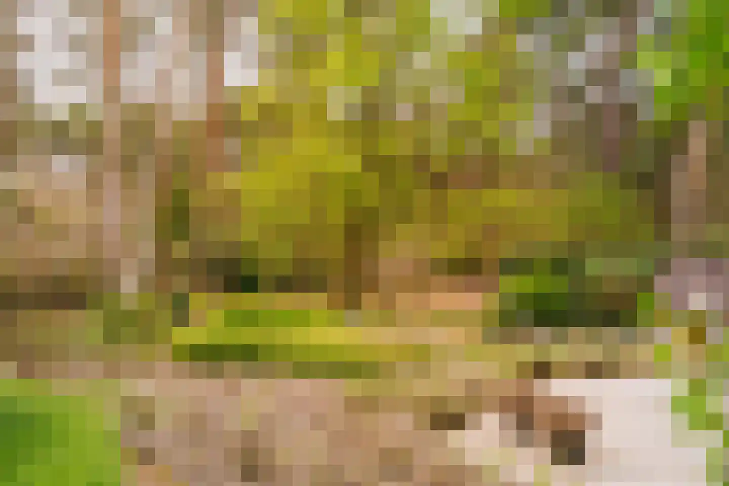 Lommelsedijk 34 Luyksgestel thumbnail 30