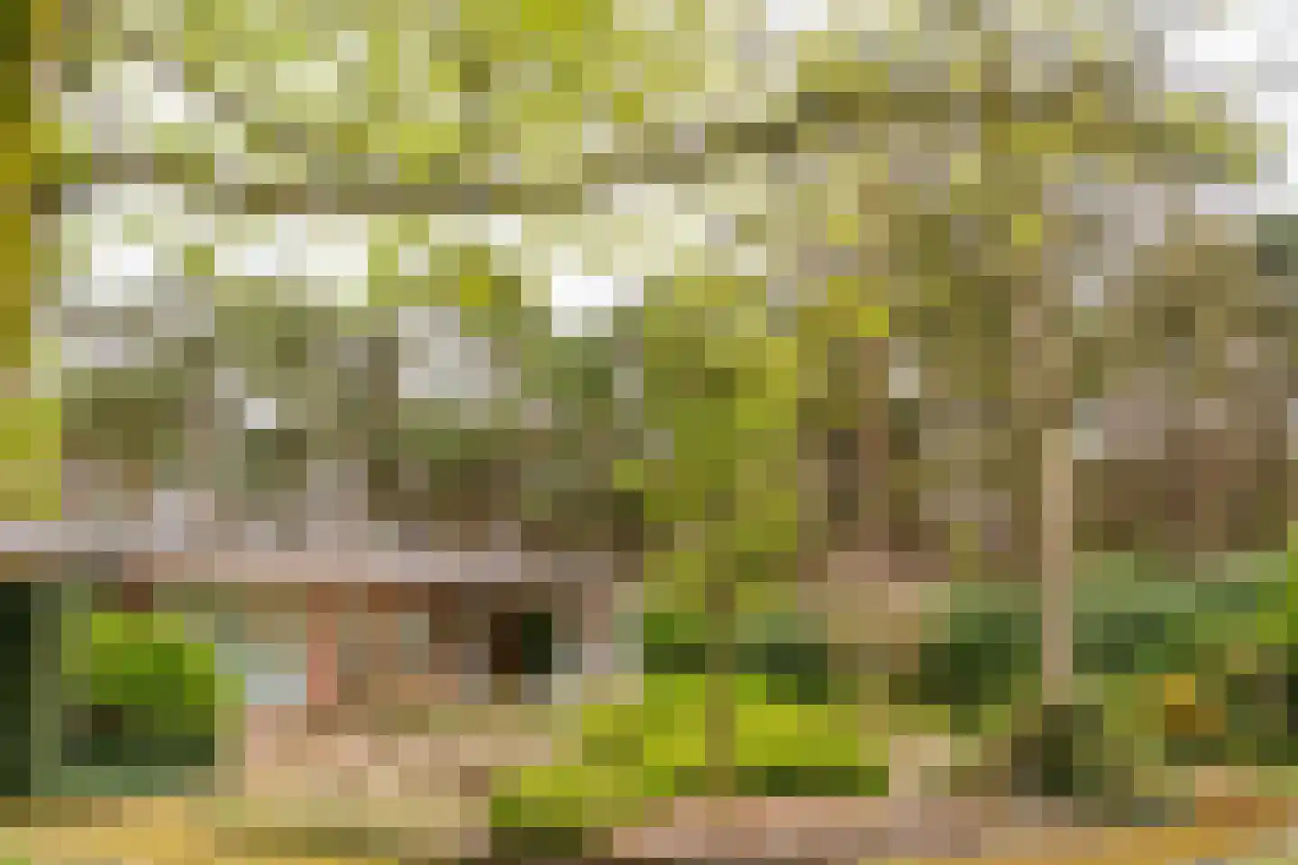Lommelsedijk 34 Luyksgestel thumbnail 32