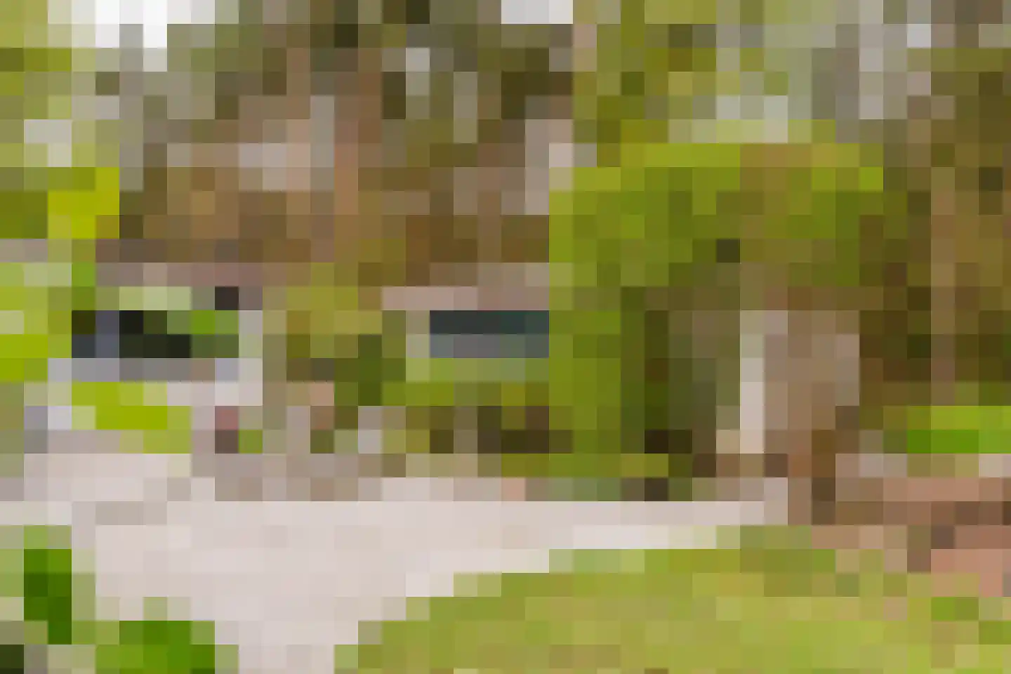 Lommelsedijk 34 Luyksgestel thumbnail 34