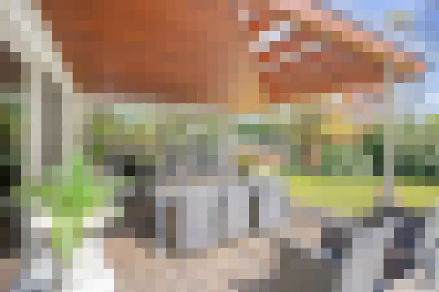 Lommelsedijk 38 Luyksgestel thumbnail 22