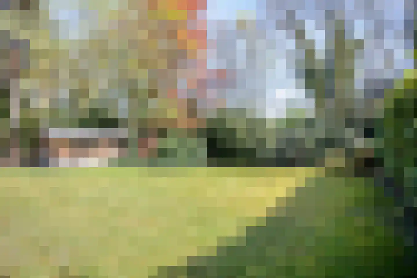 Lommelsedijk 38 Luyksgestel thumbnail 25