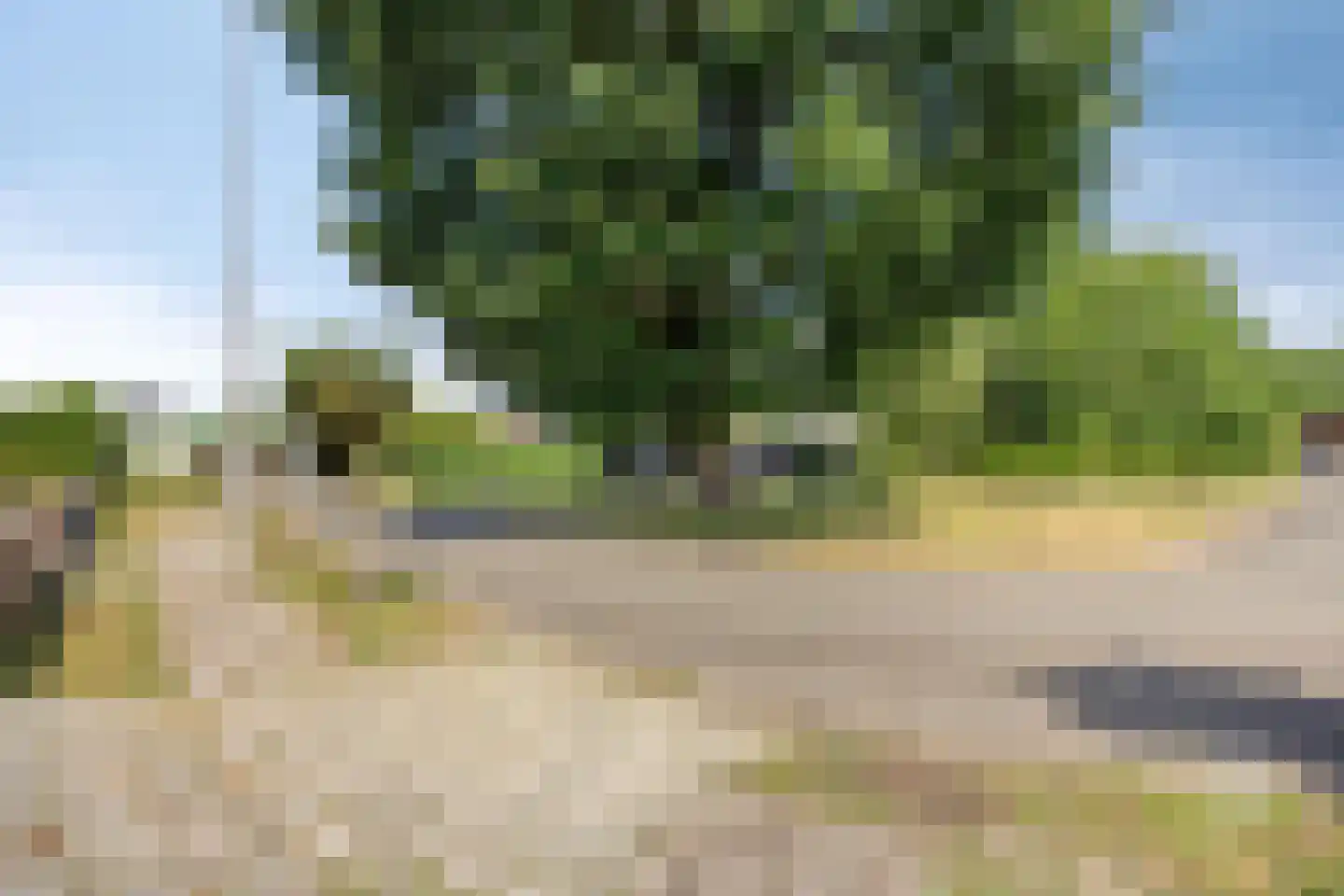 Lommelsedijk 54 Luyksgestel thumbnail 7