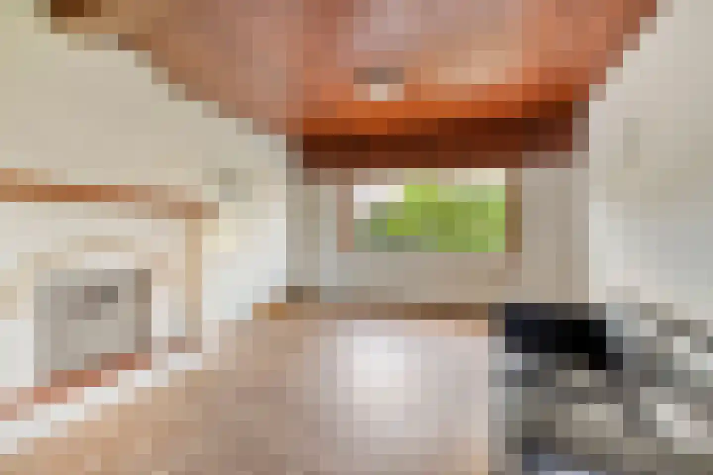 Lommelsedijk 60 Luyksgestel thumbnail 5