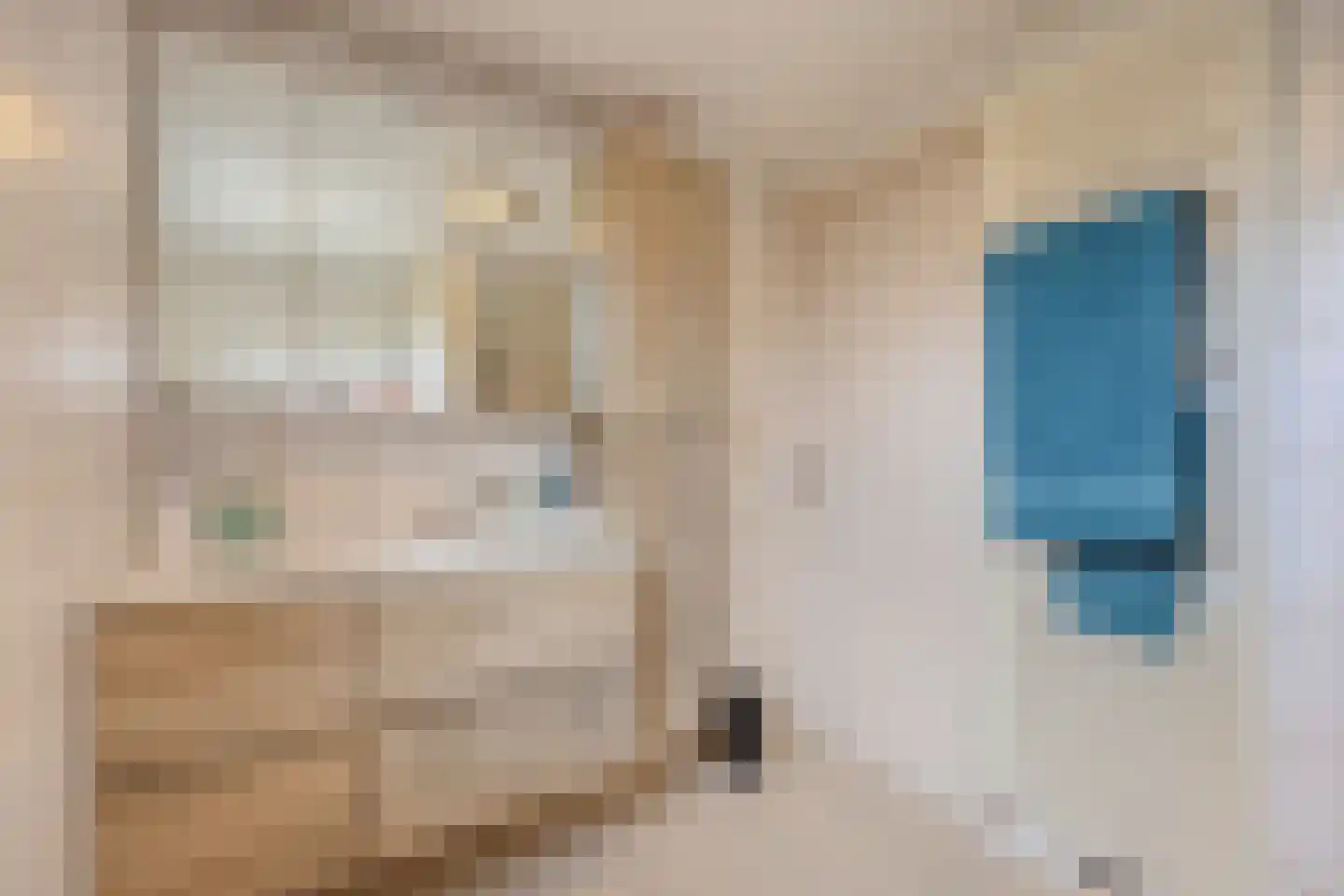 Lommelsedijk 9 Luyksgestel thumbnail 11