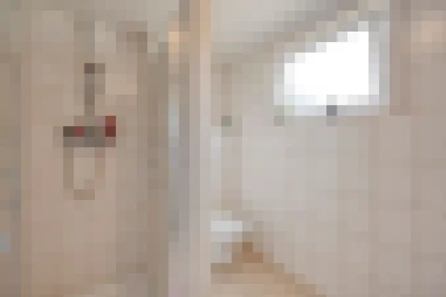 Lommelsedijk 9 Luyksgestel thumbnail 12
