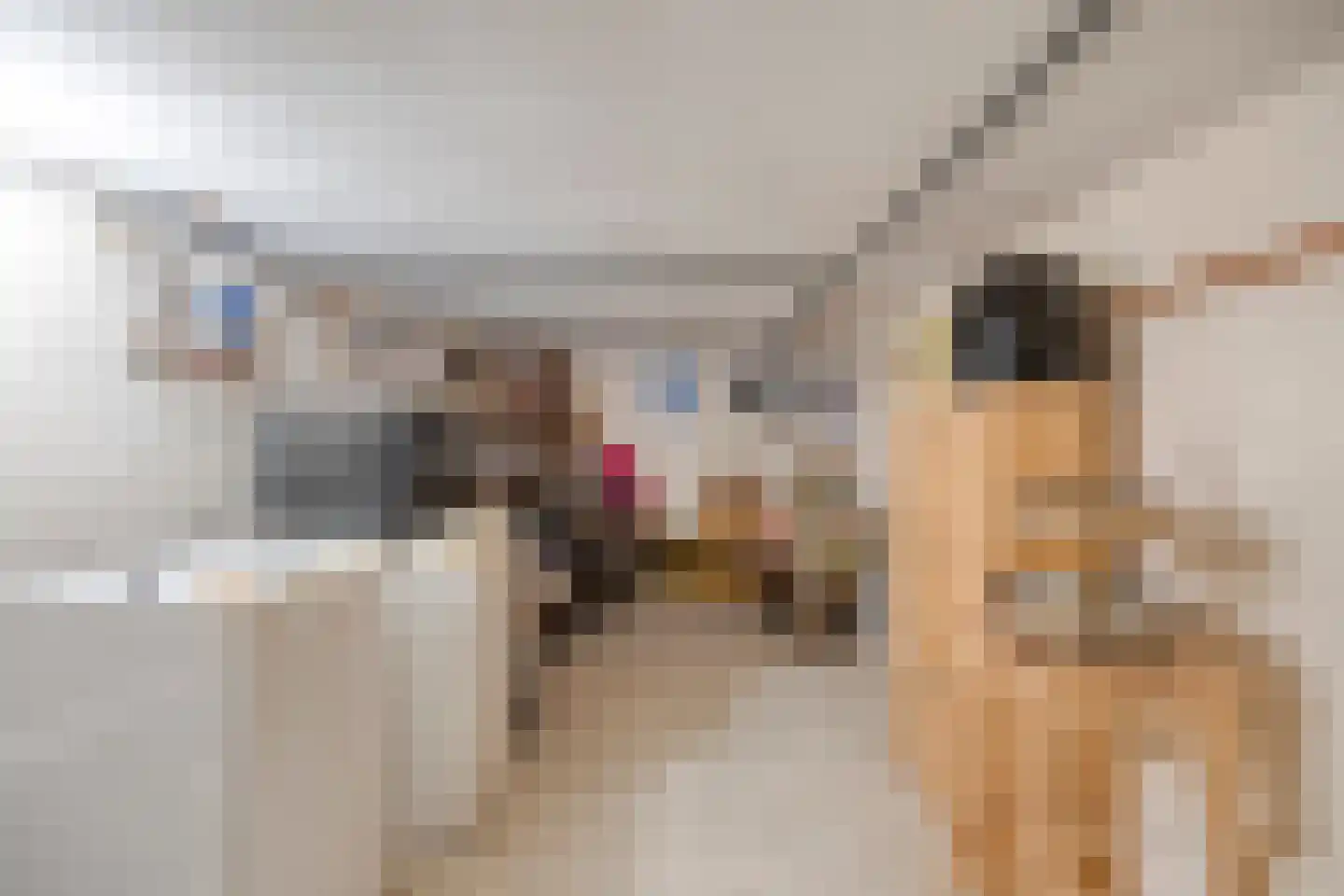 Lommelsedijk 9 Luyksgestel thumbnail 14