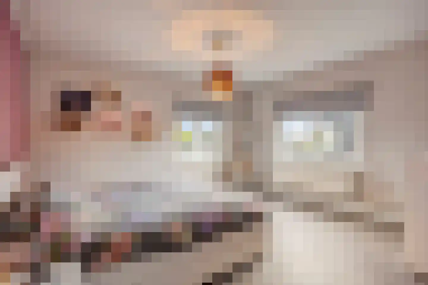 Lommelsedijk 9 Luyksgestel thumbnail 16
