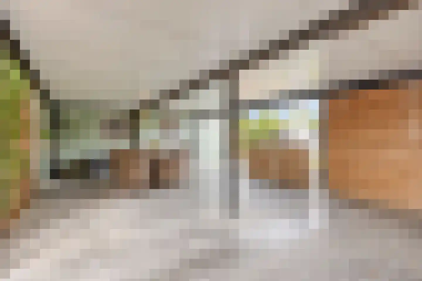 Lommelsedijk 9 Luyksgestel thumbnail 20