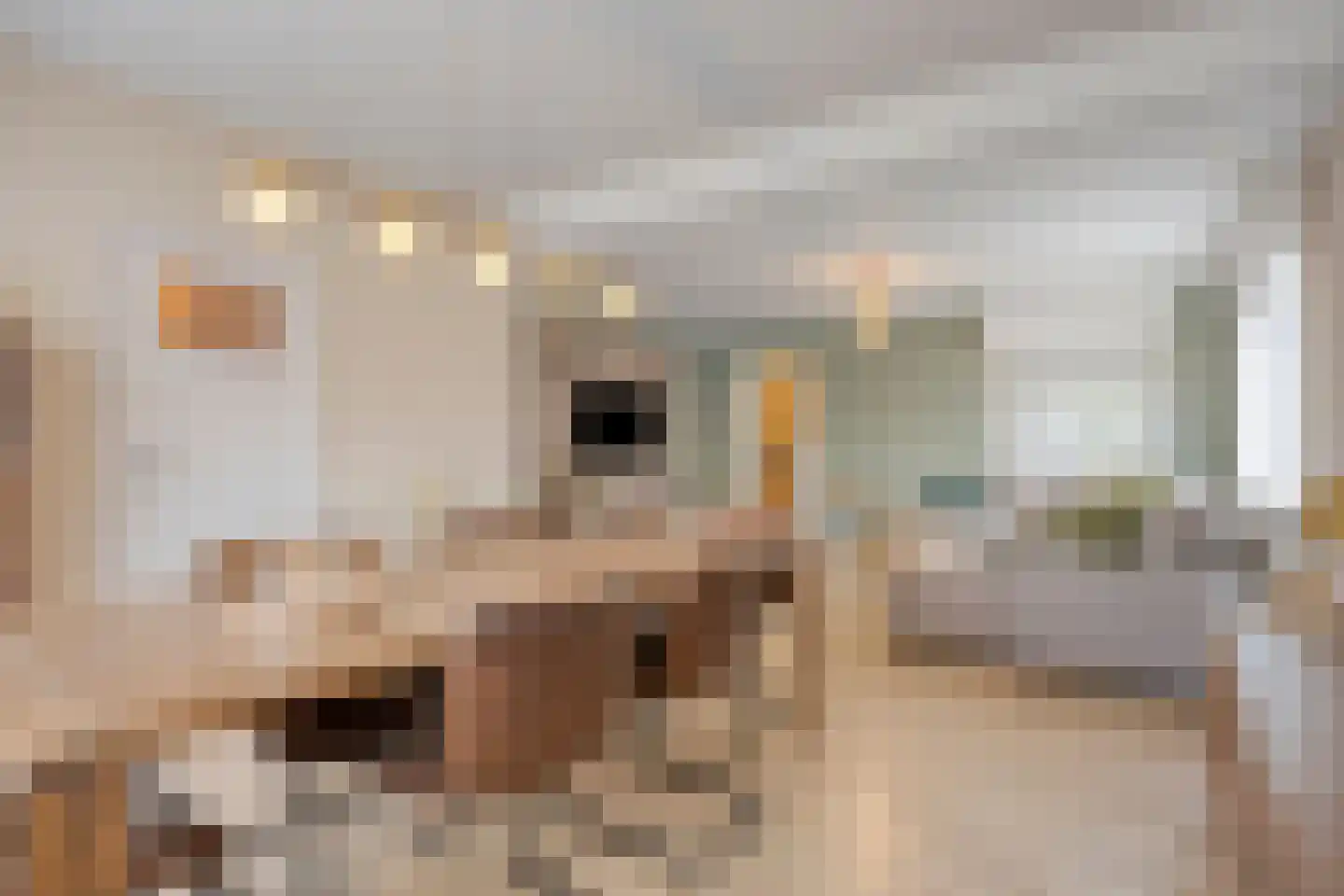 Lommelsedijk 9 Luyksgestel thumbnail 5