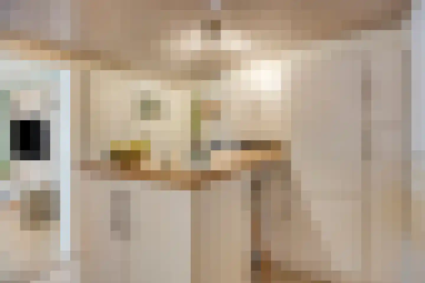 Lommelsedijk 9 Luyksgestel thumbnail 9